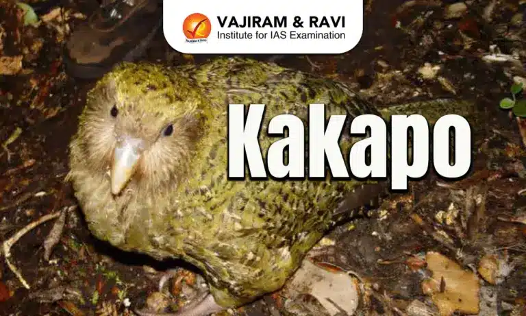 Kakapo