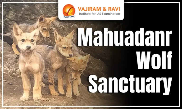 Mahuadanr Wolf Sanctuary