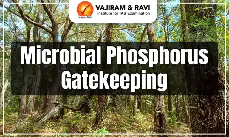 Microbial Phosphorus Gatekeeping