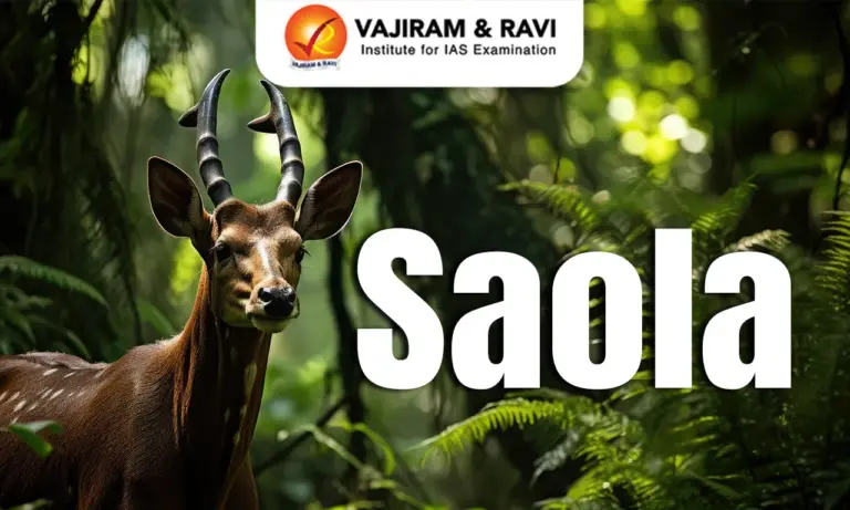 Saola