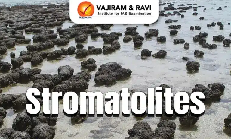 Stromatolites