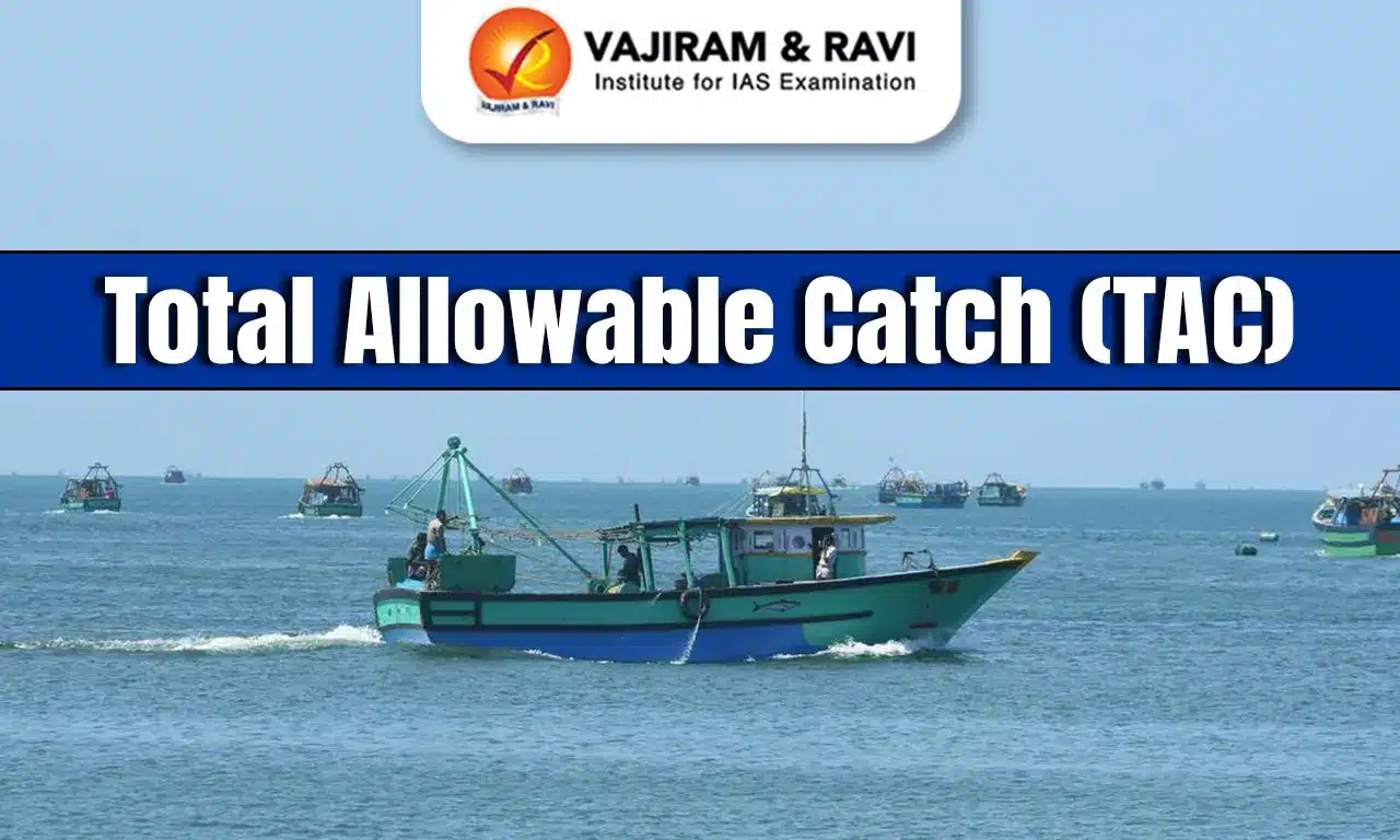 Total Allowable Catch (TAC)