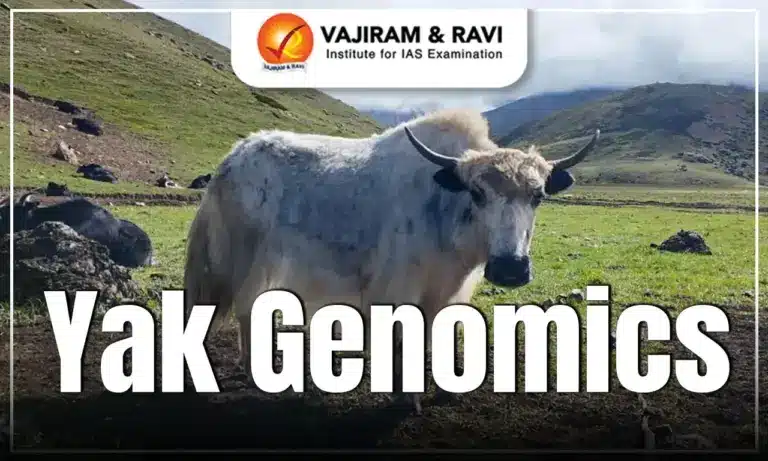 Yak Genomics
