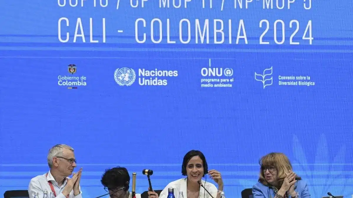 What are the Key Takeaways from COP-16?