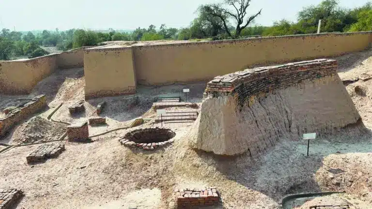 Genomic Study to Uncover Population History of South Asia