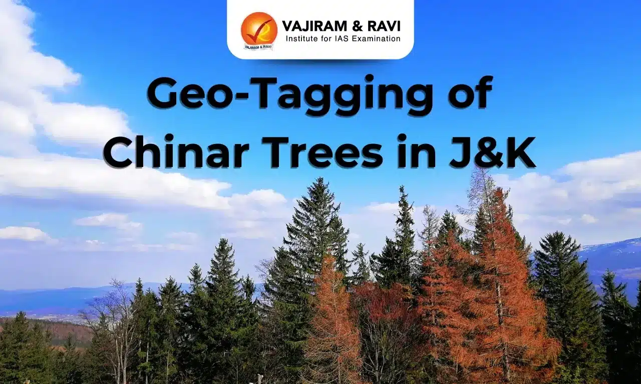 Geo-tagging of Chinar Trees in J&K: A Conservation Initiative