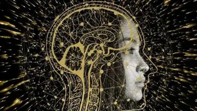 India AI Mission: MeitY Relaxes AI Compute Procurement Norms to Accommodate Start-ups