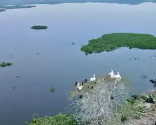 India Expands Conservation Efforts: 3 New Ramsar Sites Added