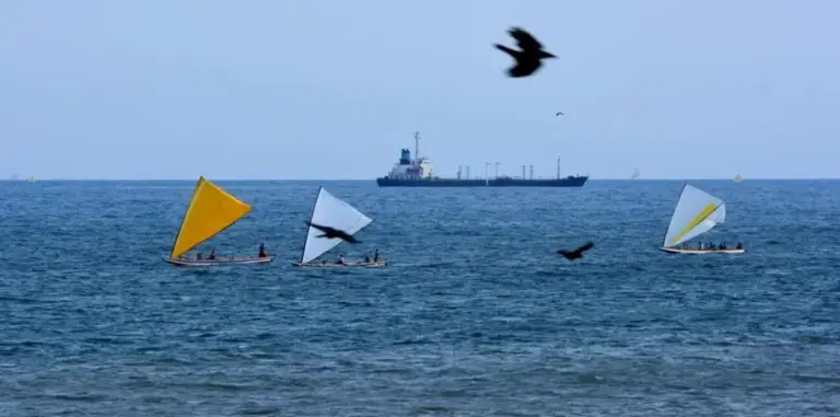 India's Merchant Shipping Bill and Coastal Shipping Bill 2024: Transformative Reforms for the Maritime Sector