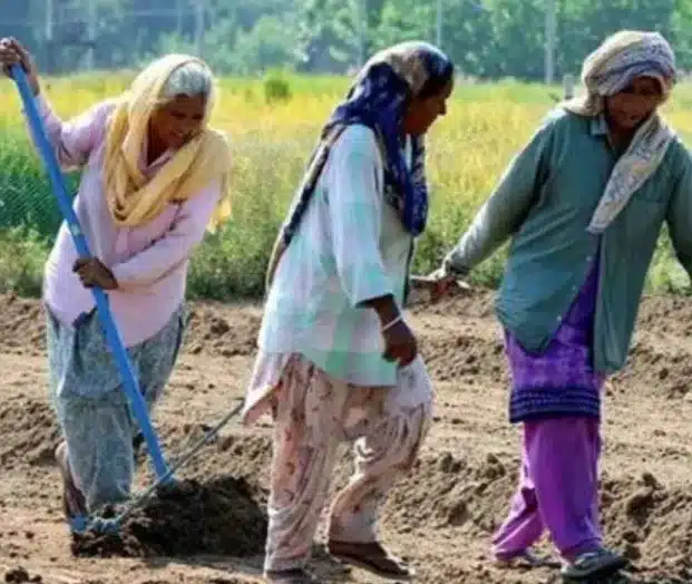 National Mission on Natural Farming (NMNF): A Step Towards Sustainable Agriculture