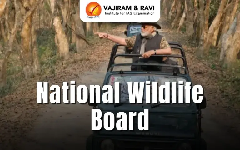 National Wildlife Board: History, Role & Conservation Impact