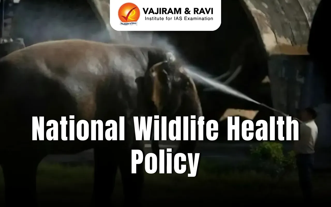 National Wildlife Health Policy Strengthens Zoonotic Disease Surveillance