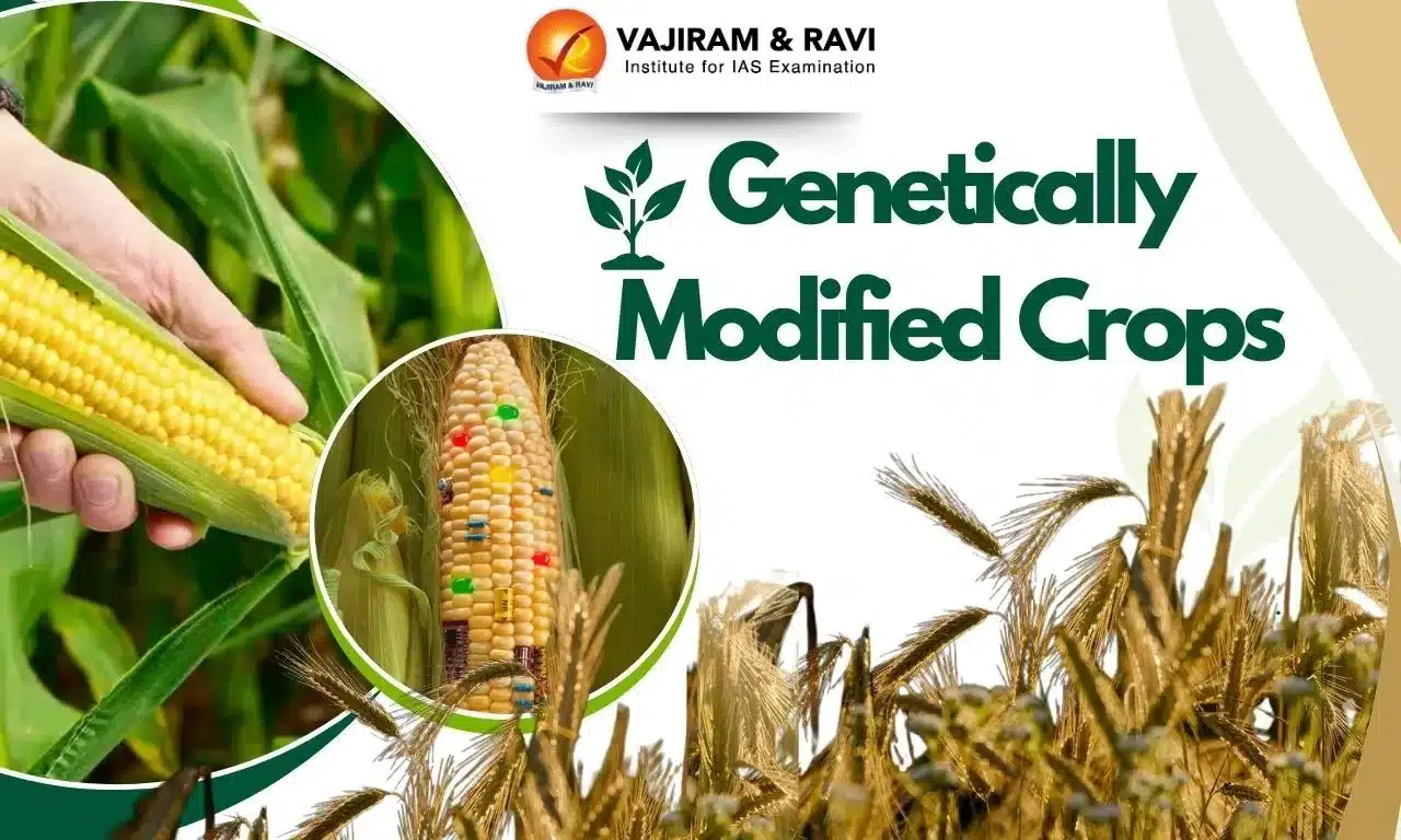 New GEAC Rules Amended for Experts on Genetically Modified Crops