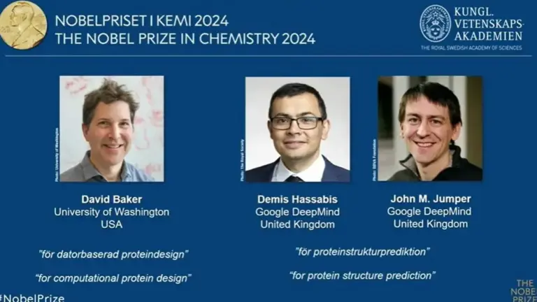 Nobel Prize in Chemistry for Decoding Protein Design and Structures