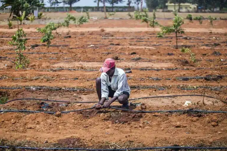 Paradox of India's Rural Wages Amidst Economic Growth