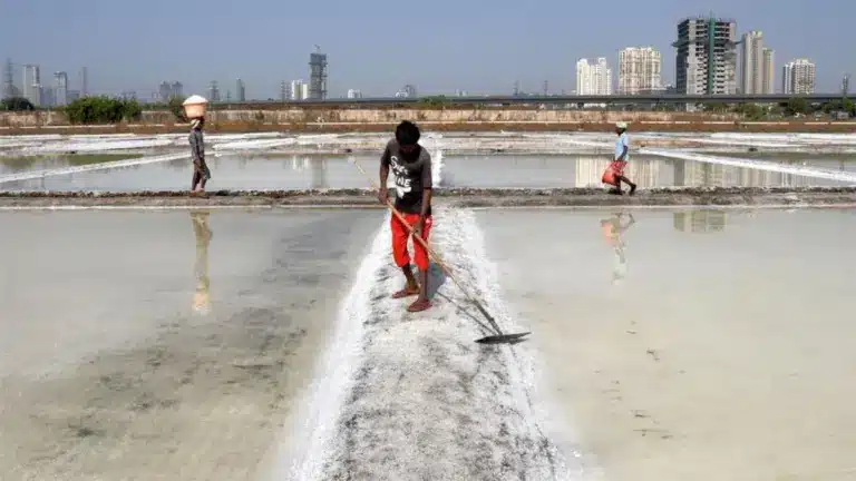 Why is Salt Pan Land Being Used for Homes?
