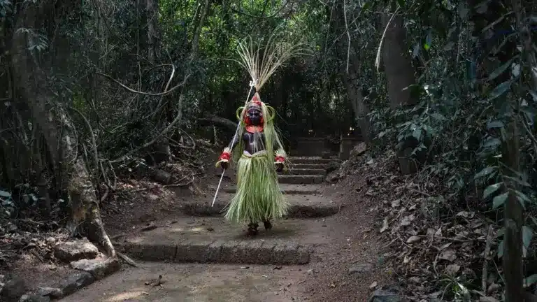 Supreme Court Urges Comprehensive Policy for Sacred Groves