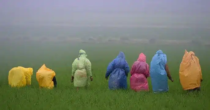 The Role of District Agro-Met Offices in Supporting Farmers through Weather Advisories