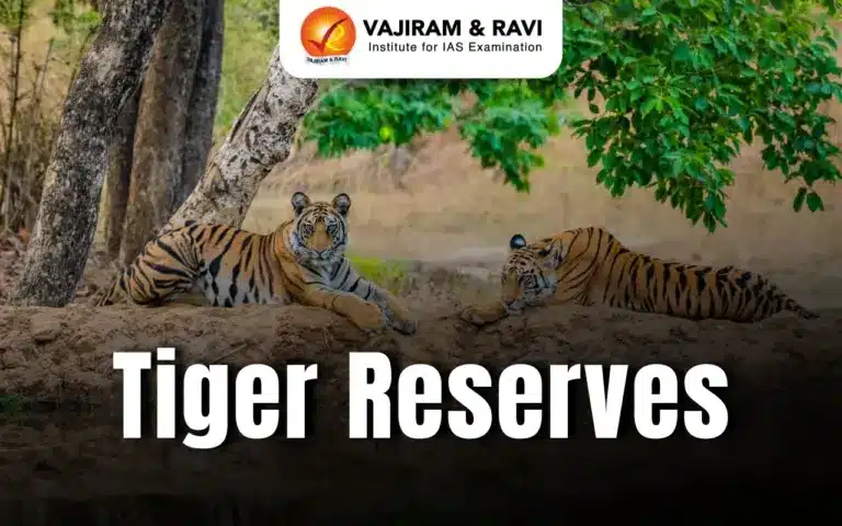 Why India Created Its 58th Tiger Reserve – Madhav National Park