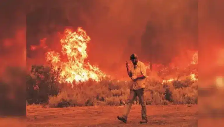 Wildfire Pollution: 1.5 Million Global Deaths Annually – Impacts and Solutions