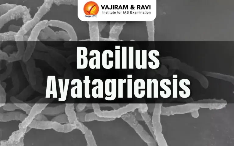 Bacillus ayatagriensis