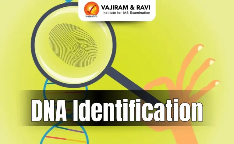 DNA Identification