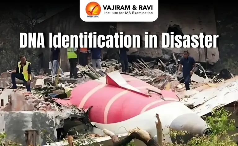 DNA Identification in Disaster