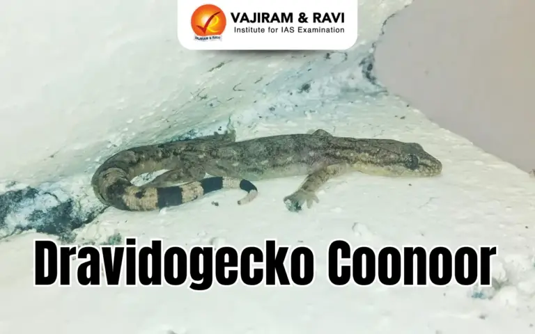 Dravidogecko Coonoor