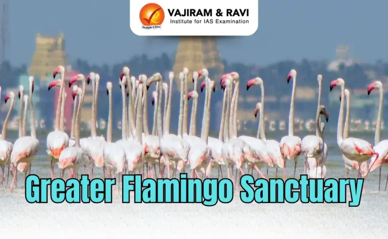 Greater Flamingo Sanctuary