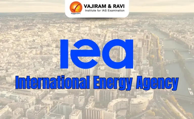 International Energy Agency