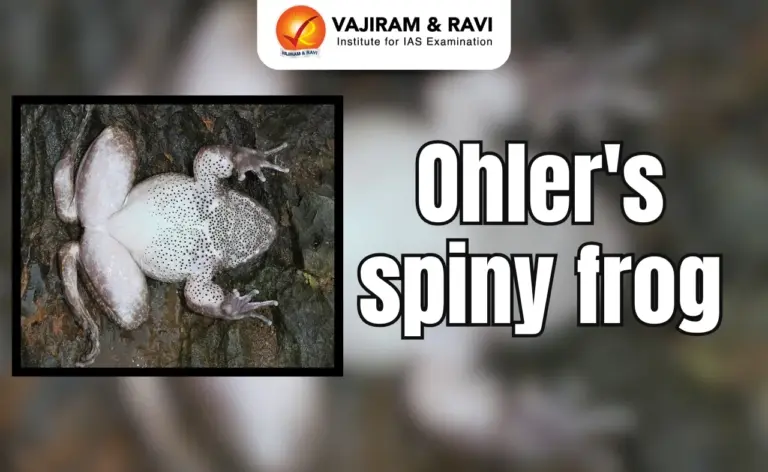 Ohler's spiny frog
