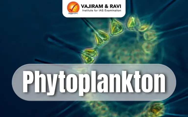 Phytoplankton