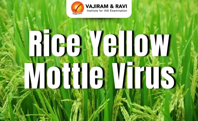 Rice Yellow Mottle Virus