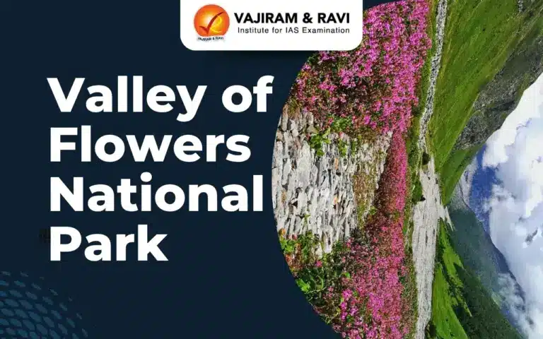 Valley of Flowers National park