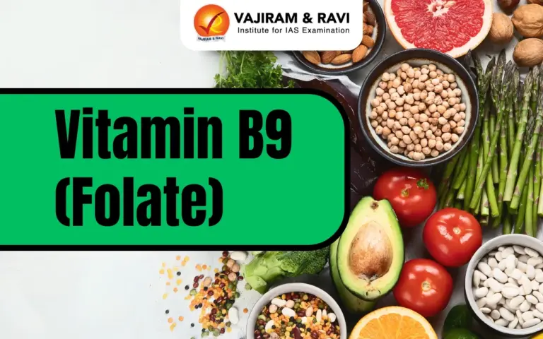 Vitamin B9 (Folate)