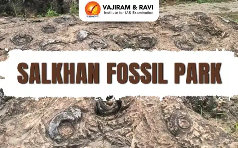 Salkhan Fossil Park