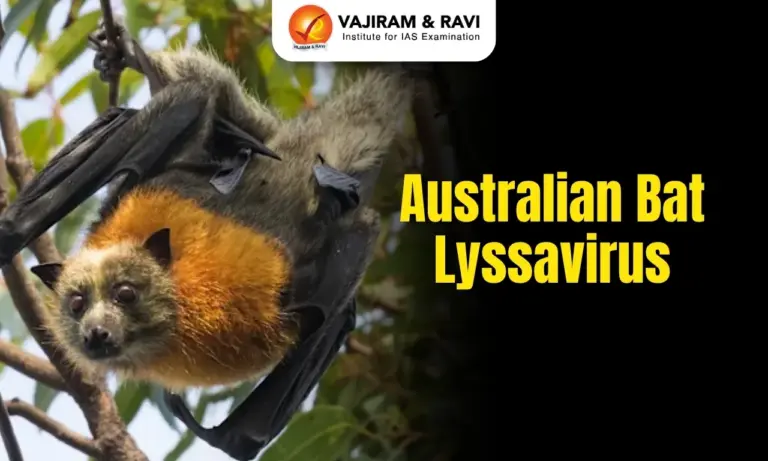 Australian Bat Lyssavirus