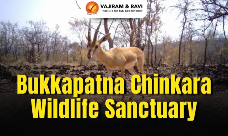 Bukkapatna Chinkara Wildlife Sanctuary