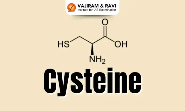 Cysteine