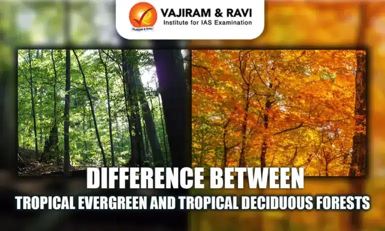 Difference Between Tropical Evergreen and Tropical Deciduous Forests