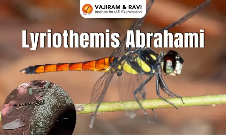 Lyriothemis Abrahami