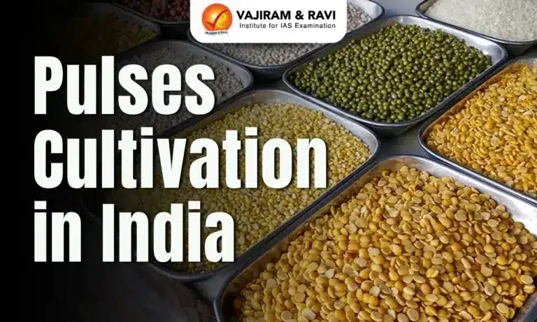 Pulses Cultivation in India