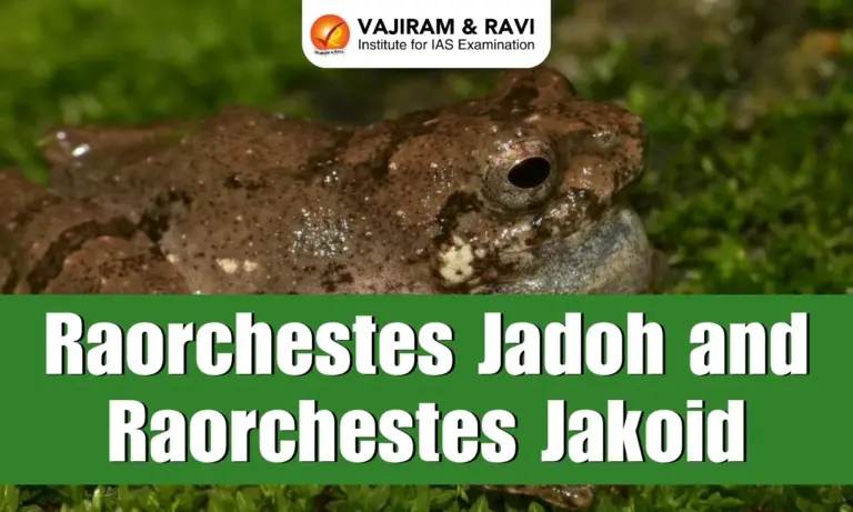 Raorchestes Jadoh and Raorchestes Jakoid