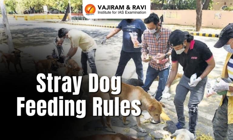 Stray Dog Feeding Rules