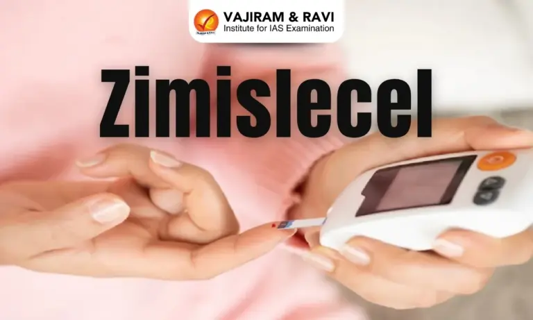 Zimislecel