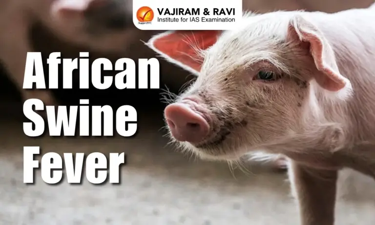 African Swine Fever