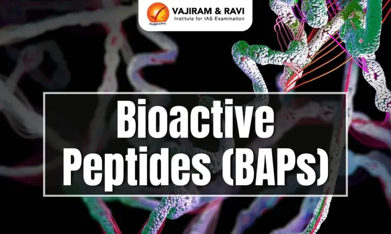 Bioactive Peptides