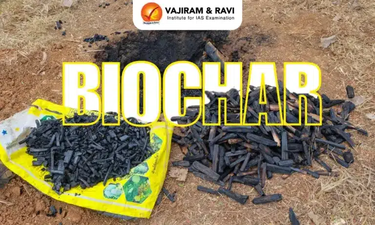 Biochar