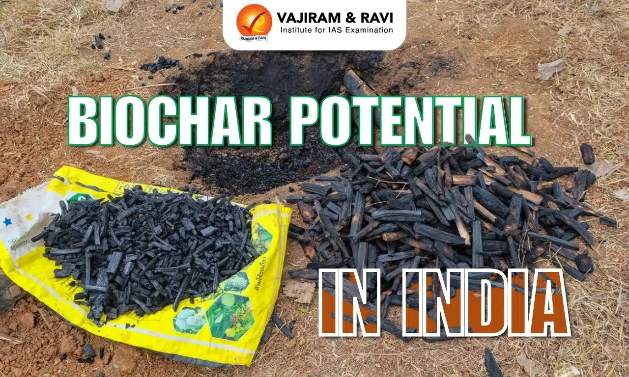 Biochar Potential in India