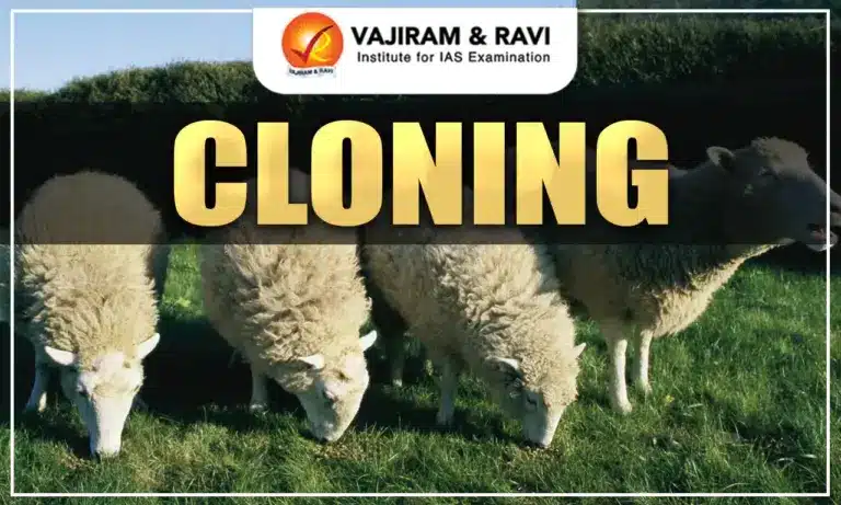 Cloning